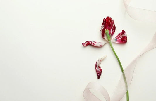 When Desire Disappears: Understanding Low Libido in Relationships