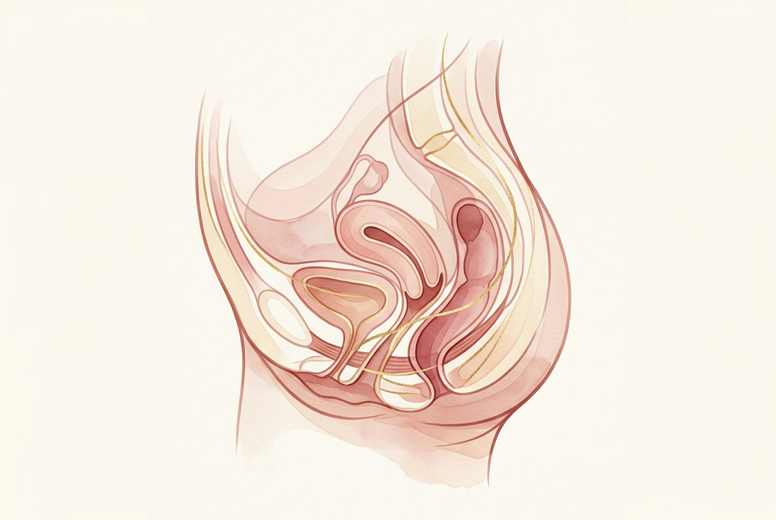 Vaginismus: When Your Body Says No, Even When You Want to Say Yes